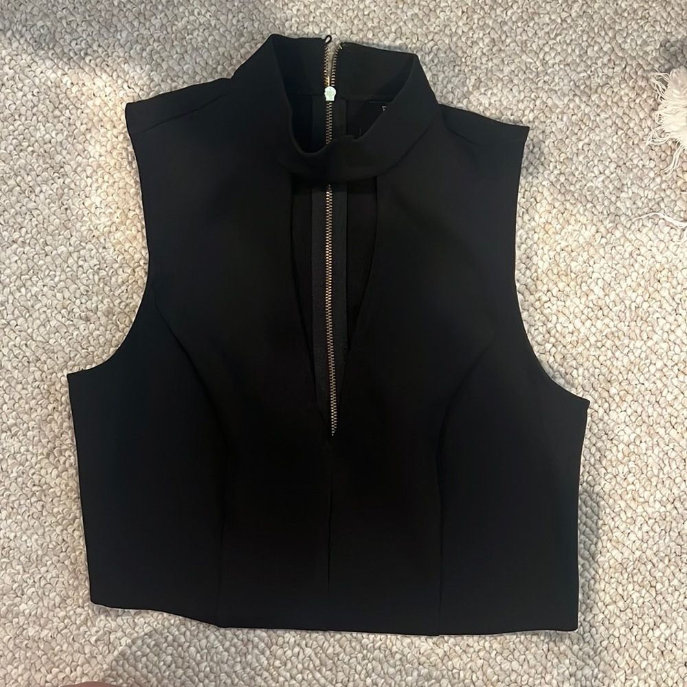 Express black deep v crop top
